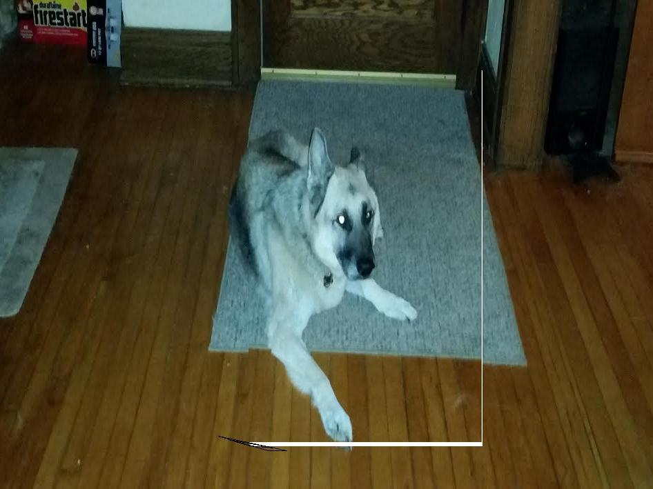 Caesar V (2002-2016)