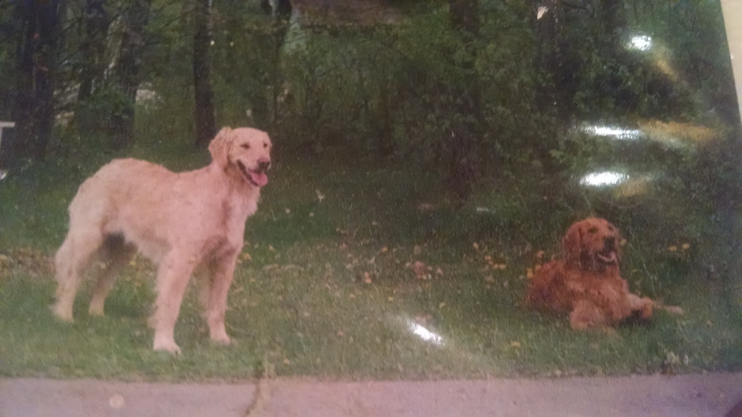 Emma & Gracie