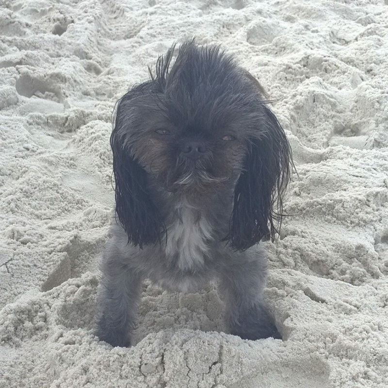 Maddie