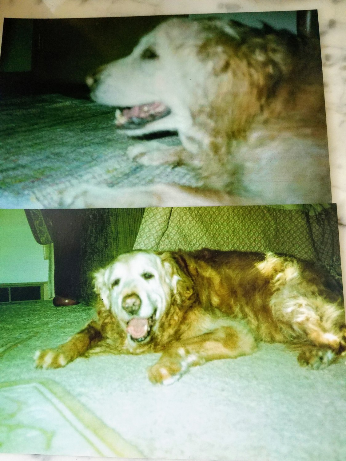 Walter D (2003-2018)