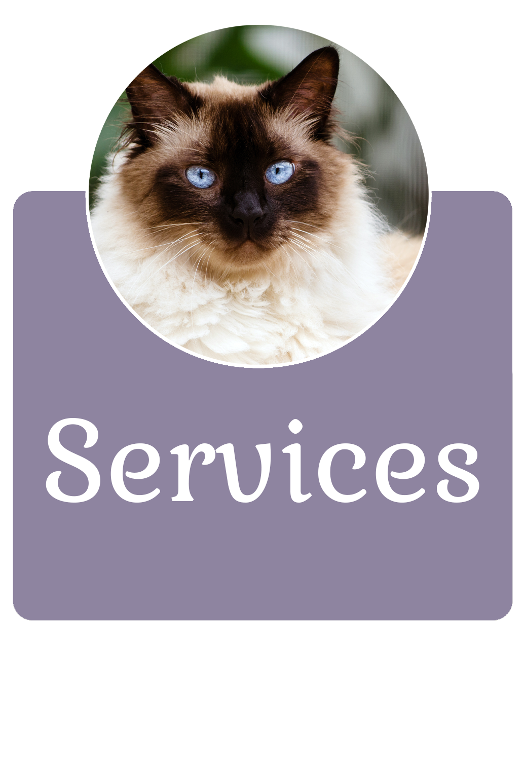 services